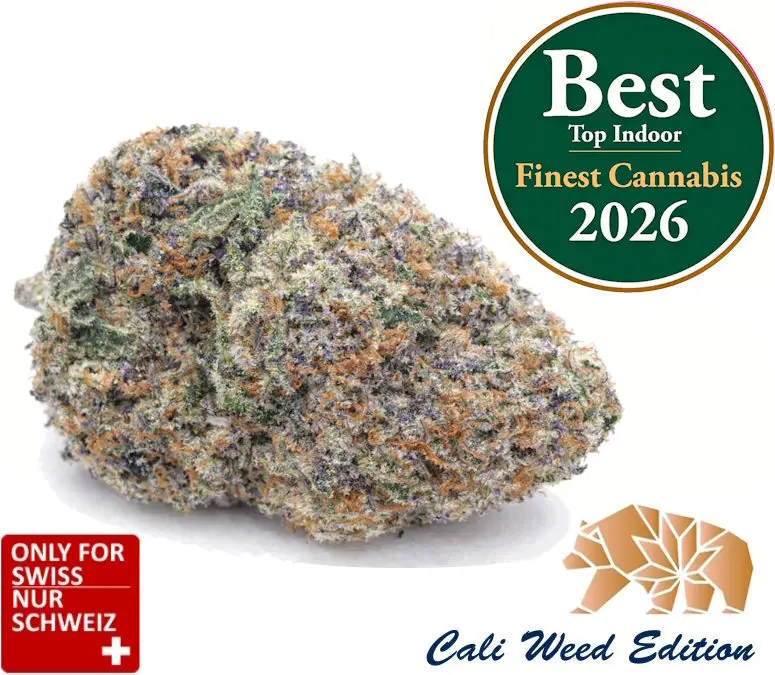 Varietà di fiori di CBD Runtz – fiori di CBD indoor premium dalla Svizzera