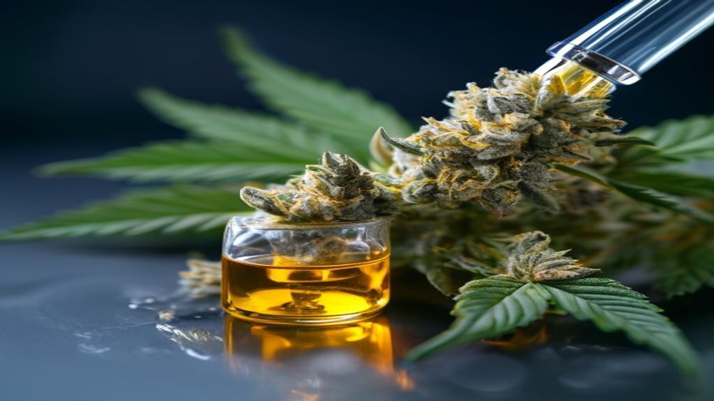 CBD Shop Zurigo – l’olio di CBD o i fiori di CBD presso VaporSpirit & HempJoy