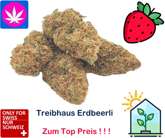Grosse Buds Erdbeerli | Ab: CHF 0.38/gr. | 100gr. - 1kg