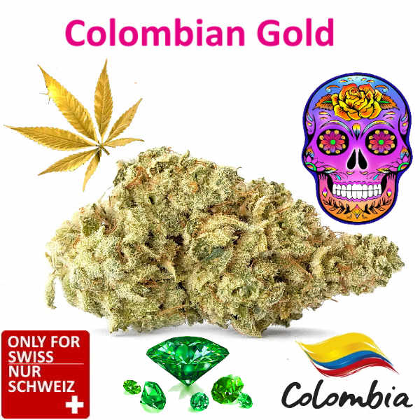 Colombian Gold Indoor | Ab: CHF 2.50/gr. | 2gr.-500gr.