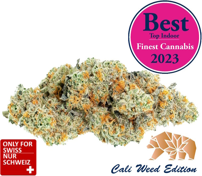 Super Amnesia Haze - Cali Weed Strain 2023 - CBD Cannabis