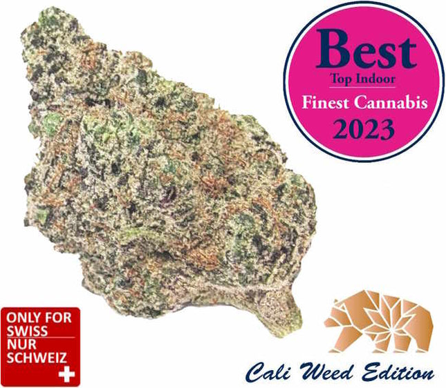Critical Kush - Cali Weed Strain 2023
