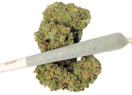 Pre Rolled Joint 1 Stk. Purple Haze Pure Cannabis 1.2 gr.
