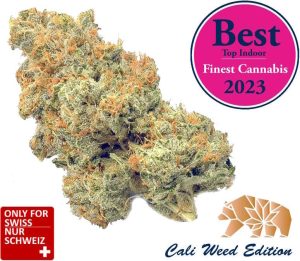 Super Harlequin Gorilla Glue - Cali Weed Strain 2023 - Swiss Made