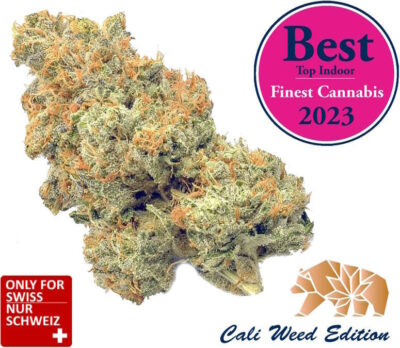 Super Harley Quinn Gorilla Glue CBD - Cali Weed Strain