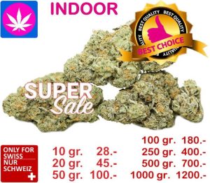 Gipsy Harlequin Haze Super Cross Indoor, 10gr. bis 5kg