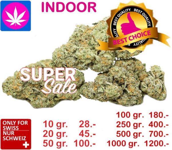 Gipsy Harlequin Haze Super Cross Indoor, 10gr. bis 5kg