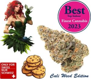 Girl Scout Cookies Cbd - Blüten Indoor | Ab: CHF 2.50/gr. | 2gr.-500gr.