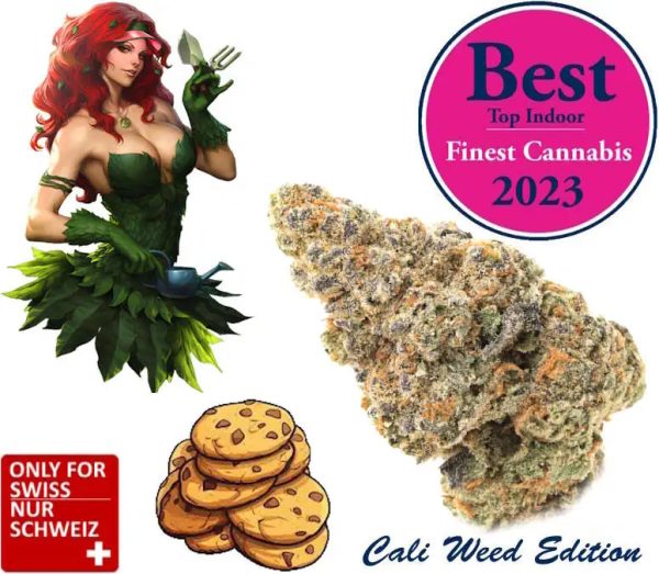 Girl Scout Cookies Cbd - Blüten Indoor | Ab: CHF 2.50/gr. | 2gr.-500gr.