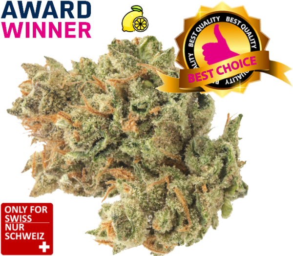 Super Lemon Haze | Super Citro Limoncello Indoor, 1kg