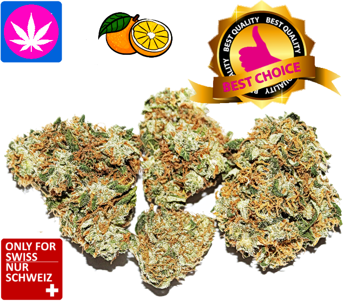 orange bud cbd
