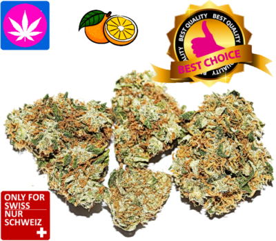 CBD Orange Bud Skunk Indoor Blüten - | Ab 2.50/gr.