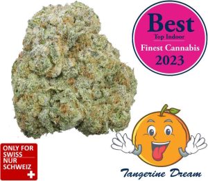 Tangerine Dream Strain Cbd - Deep Mandarin Cbd Blüten