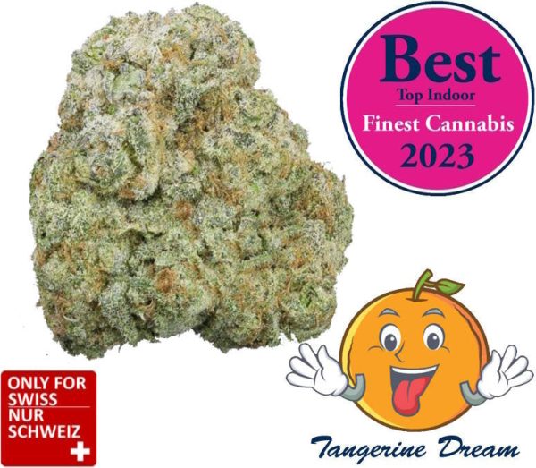 Tangerine Dream Strain Cbd - Deep Mandarin Cbd Blüten