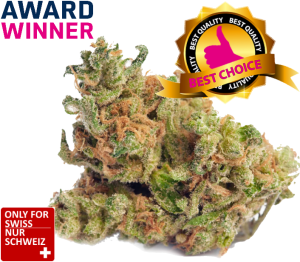 Super Harlequin Indoor | Ab: CHF 2.50/gr. | 2gr.-500gr.