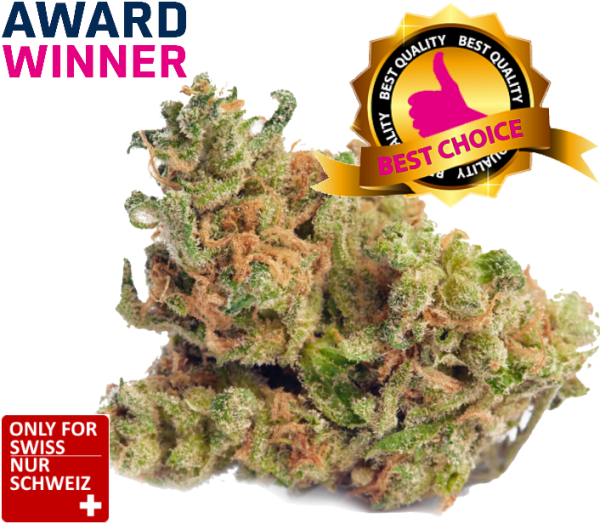 Super Harlequin Indoor | Ab: CHF 2.50/gr. | 2gr.-500gr.