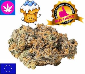 Blueberry Muffin Cbd EU Indoor, 3gr. bis 250gr.
