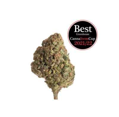 CBD Arancia Tonic Glashaus