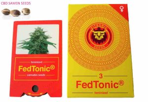 Fedtonic CBD Seed - Cup Winner