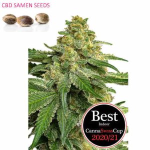Saparot Canna Swiss Cup Winner