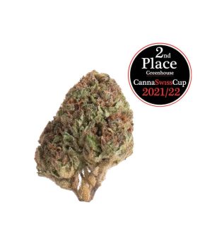 Cookie Kush Glashaus | Ab: CHF 1.60/gr. | 2gr.-500gr.