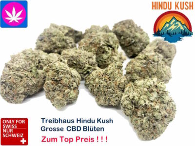 Grosse Buds Hindu Kush | Ab: CHF 0.38/gr. | 100gr. - 1kg