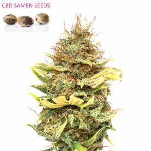 Cannabigerol Samen Schweiz - Europa CBG