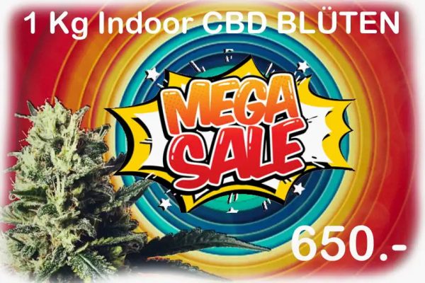 CBD Blüten Indoor 1kg Super Aktion 4 Sorten