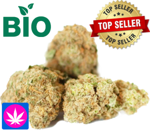 BIO Cannatonic| Canna Dream Glashaus | Ab: CHF 1.80/gr.|
