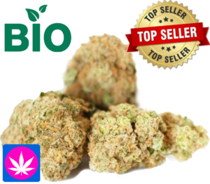 BIO CBD Blüten Canna Tonic - Glashaus bis 1kg