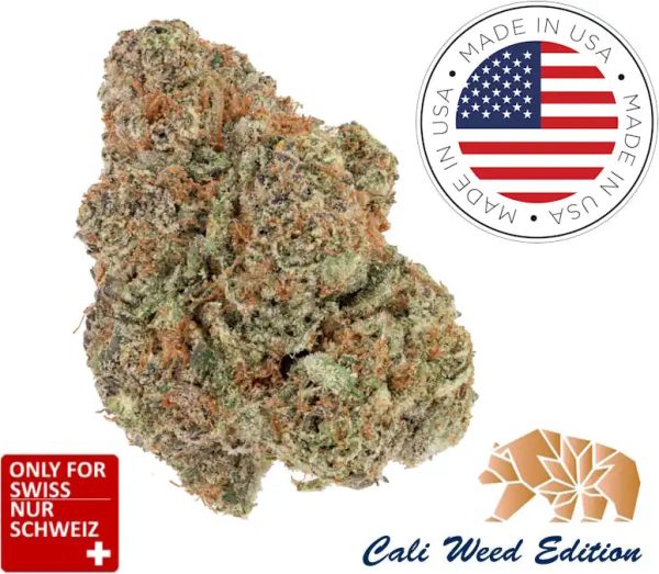 California Dream  Glashaus USA Ab: CHF 1.80/gr. Cbd Blüten 100g günstig