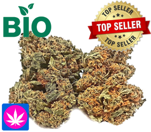 Bio Erdbeerli Glashaus | Ab: CHF 1.80/gr. | 8gr.-250gr.