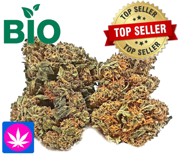 Bio Erdbeerli Glashaus | Ab: CHF 1.80/gr. | 8gr.-250gr.