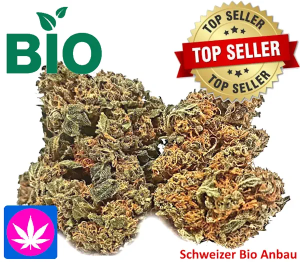 Bio Erdbeerli Glashaus, 500gr. bis 1kg