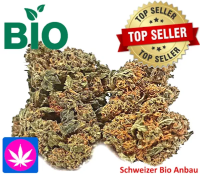 Bio Erdbeerli Glashaus, 500gr. bis 1kg