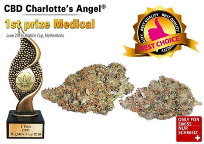 CBD Charlotte's Angel Indoor Blüten