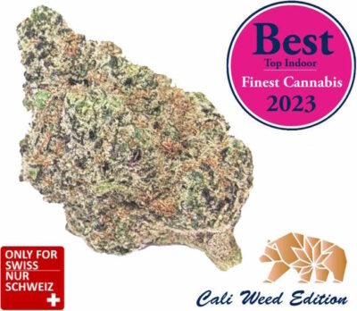 CBD Critical Kush Blüten - Cali Weed Strain 2025