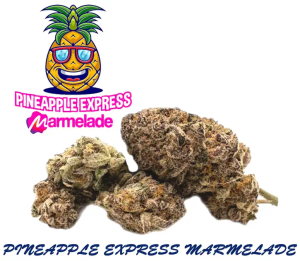 Cannabis Blüten Pineapple Express Marmelade T-P | Ab CHF 3.36/gr. |