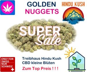 Golden Nuggets Hindu Kush | Ab: CHF 0.19/gr. | 100gr. - 1kg