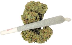Pre Rolled Joint 1 Stk. Harlequin Pure Cannabis 1.2 gr.