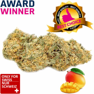 Mango Haze CBD Blüten Indoor | Ab: CHF 1.80/gr.