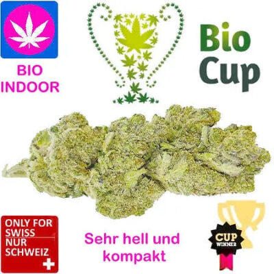 Northern Lights Haze Bio Indoor | Ab: CHF 2.50/gr.