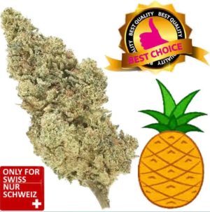 Pineapple Express Indoor | Ab: CHF 1.80/gr. | 2gr.-500gr.