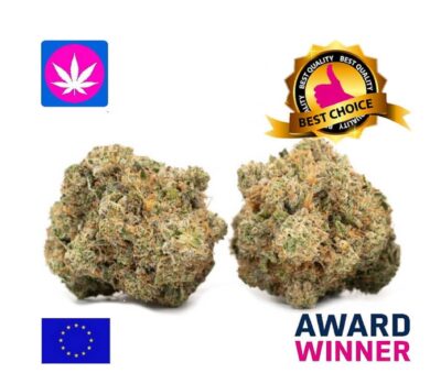 Super Gorilla Glue EU Cannabisblüten 250g Indoor