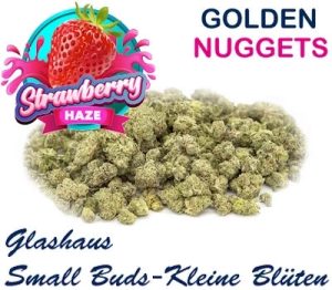 Fleur Strawberry Haze | Ab CHF 1.90/gr. | 2gr. - 500gr.