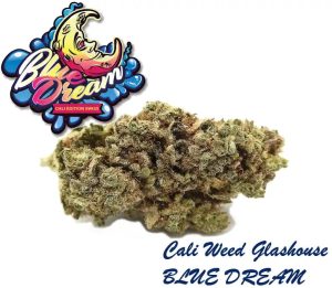 Blue Dream Glashaus T-P | Ab CHF 2.52/gr. | 2gr. - 500gr.