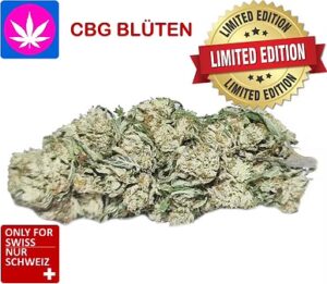 CBG Blüten Schweiz – White Widow Treibhaus Swiss