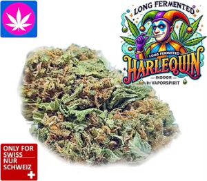 Harlequin CBD Weed - günstiges Indoor