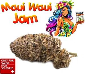 CBD Blüten Maui Waui Jam
