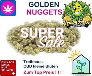 CBD Popcorn Lemon Freeze Pop Strain